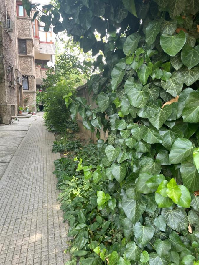 Old City Centre - Unforgettable House Βουκουρέστι Εξωτερικό φωτογραφία